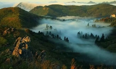 益陽安化?天下茶道、云臺山、茶香花海2日游