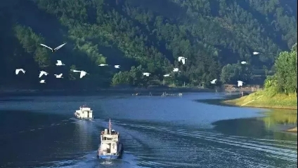 益陽安化?天下茶道、云臺山、茶香花海2日游