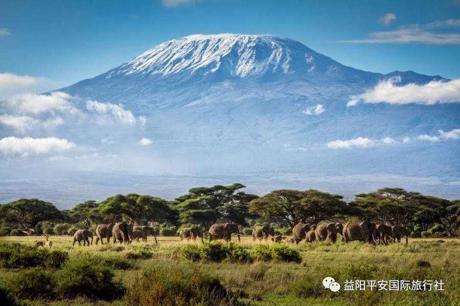 發現非洲體驗之旅肯尼亞10游 發現非洲體驗之旅肯尼亞10游