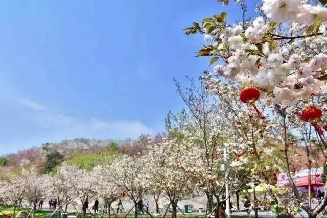 長沙潯龍河櫻花谷、田漢文化園一日游